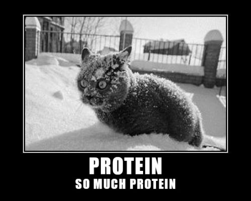 Protein, so much protein